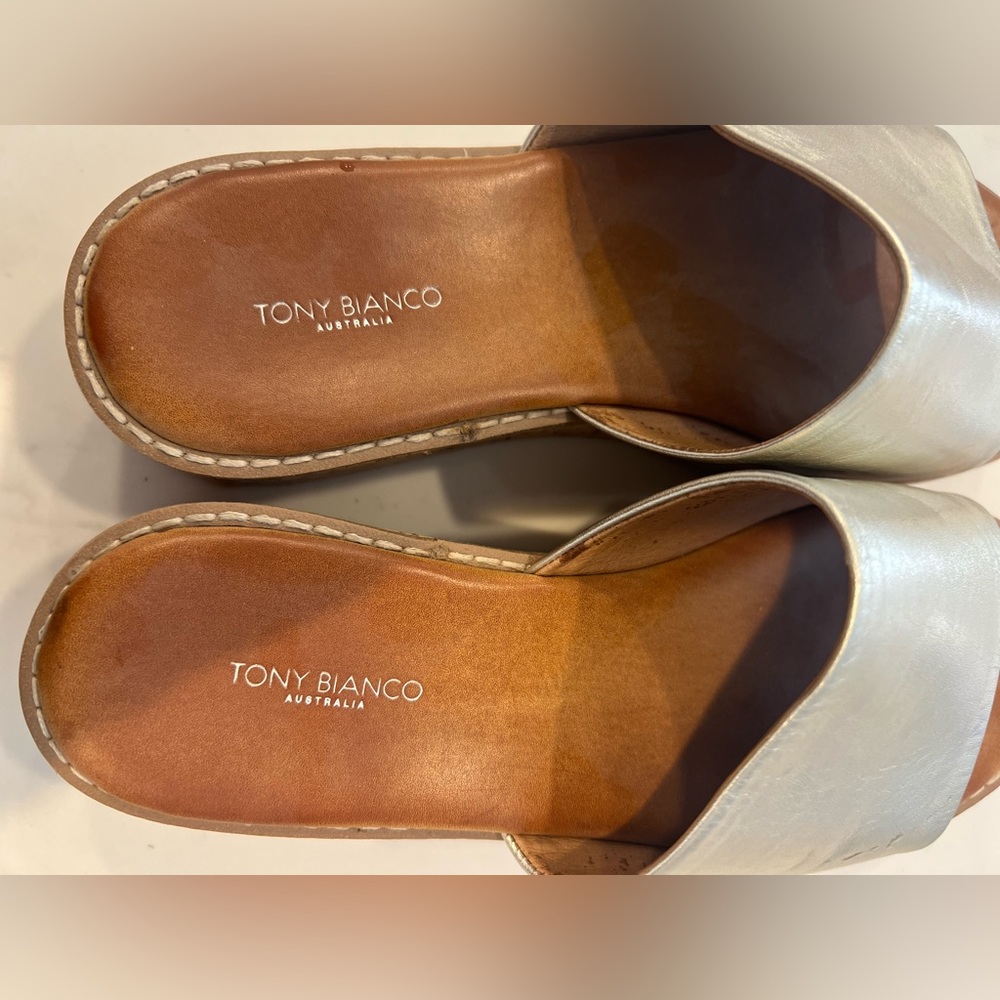 Tony Bianco slides.